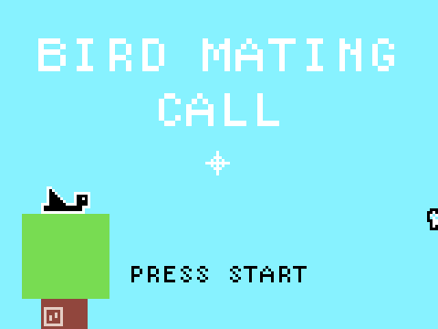 Bird Mating Call