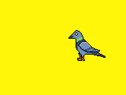 birb