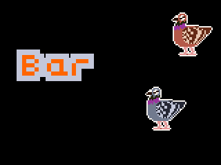 My Pigeon Flock!